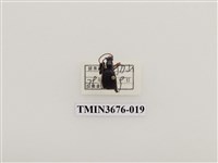 藏品(步行蟲(2))的圖片